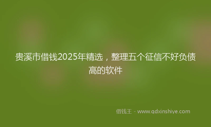 贵溪市借钱2025年精选，整理五个征信不好负债高的软件