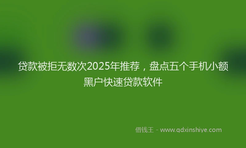 贷款被拒无数次2025年推荐，盘点五个手机小额黑户快速贷款软件