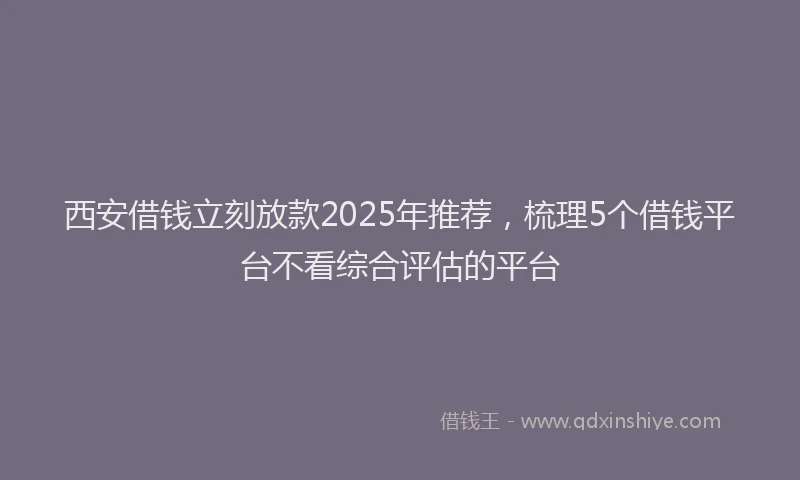 西安借钱立刻放款2025年推荐，梳理5个借钱平台不看综合评估的平台