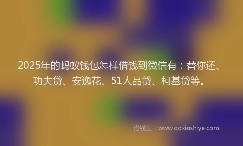 2025年的蚂蚁钱包怎样借钱到微信有：替你还、功夫贷、安逸花、51人品贷、柯基贷等。
