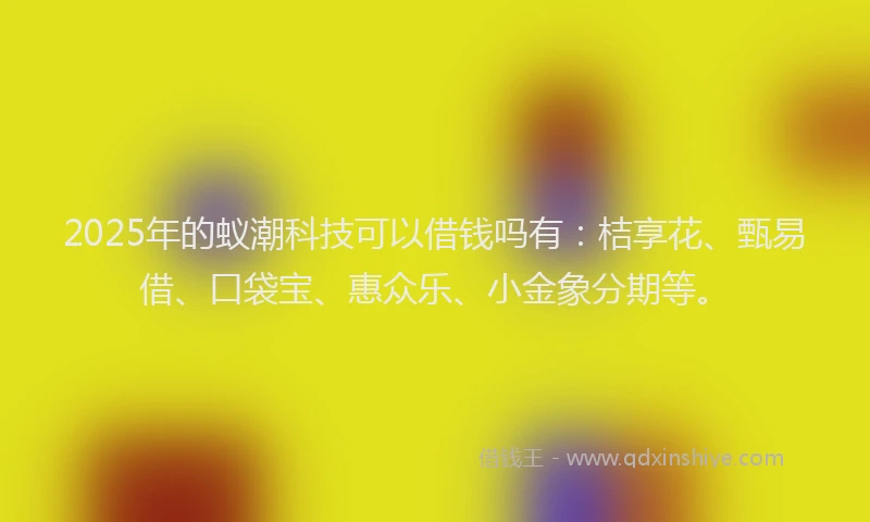 2025年的蚁潮科技可以借钱吗有：桔享花、甄易借、口袋宝、惠众乐、小金象分期等。
