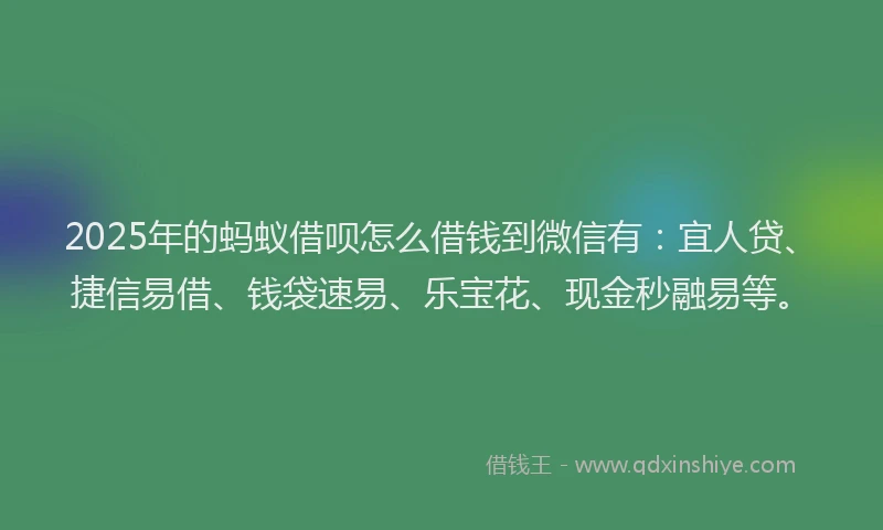 2025年的蚂蚁借呗怎么借钱到微信有：宜人贷、捷信易借、钱袋速易、乐宝花、现金秒融易等。