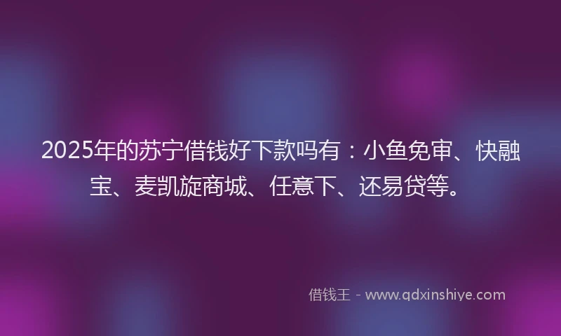 2025年的苏宁借钱好下款吗有：小鱼免审、快融宝、麦凯旋商城、任意下、还易贷等。