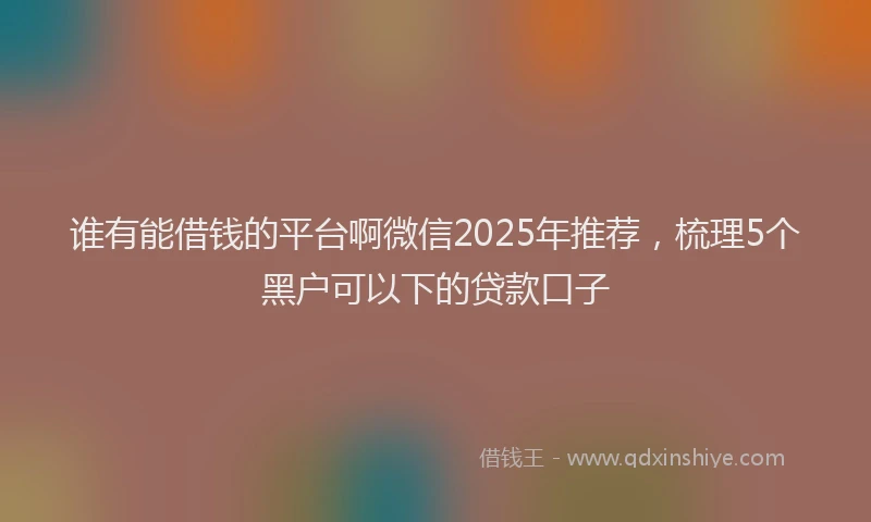 谁有能借钱的平台啊微信2025年推荐，梳理5个黑户可以下的贷款口子