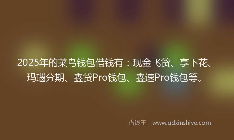 2025年的菜鸟钱包借钱有：现金飞贷、享下花、玛瑙分期、鑫贷Pro钱包、鑫速Pro钱包等。