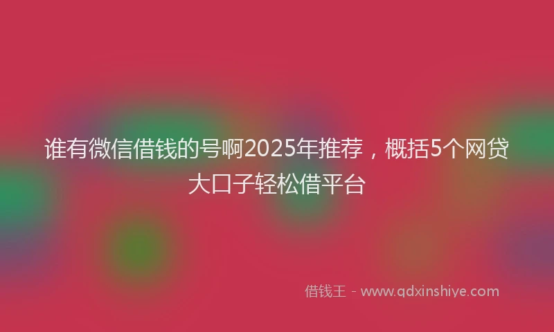 谁有微信借钱的号啊2025年推荐，概括5个网贷大口子轻松借平台
