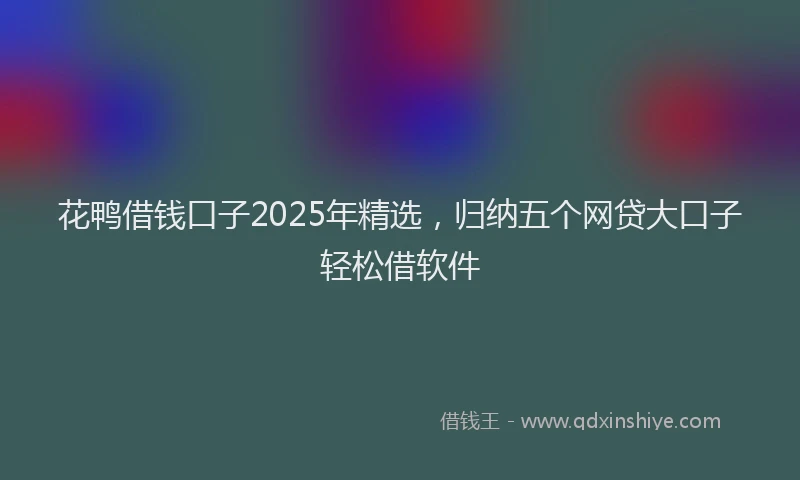 花鸭借钱口子2025年精选，归纳五个网贷大口子轻松借软件