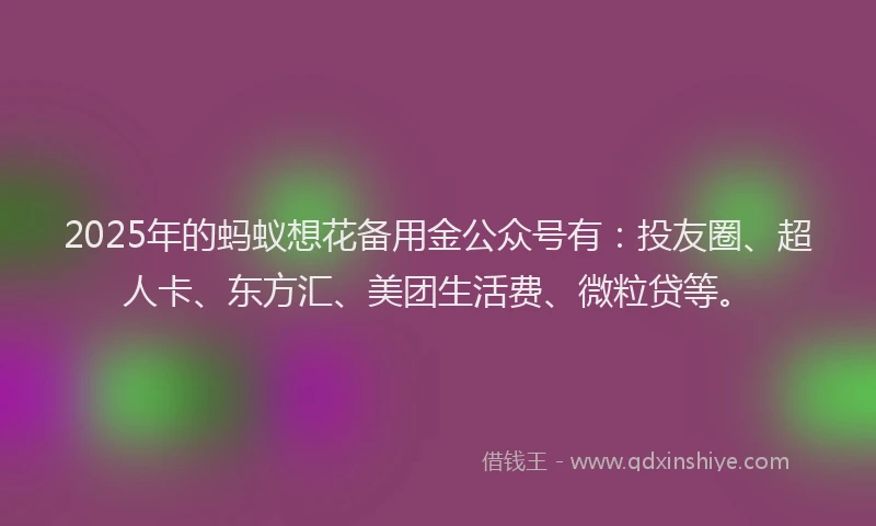 2025年的蚂蚁想花备用金公众号有：投友圈、超人卡、东方汇、美团生活费、微粒贷等。