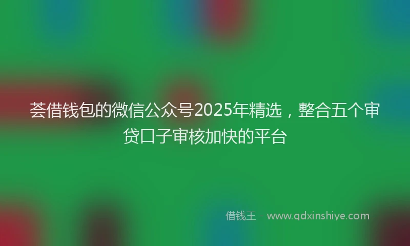 荟借钱包的微信公众号2025年精选，整合五个审贷口子审核加快的平台
