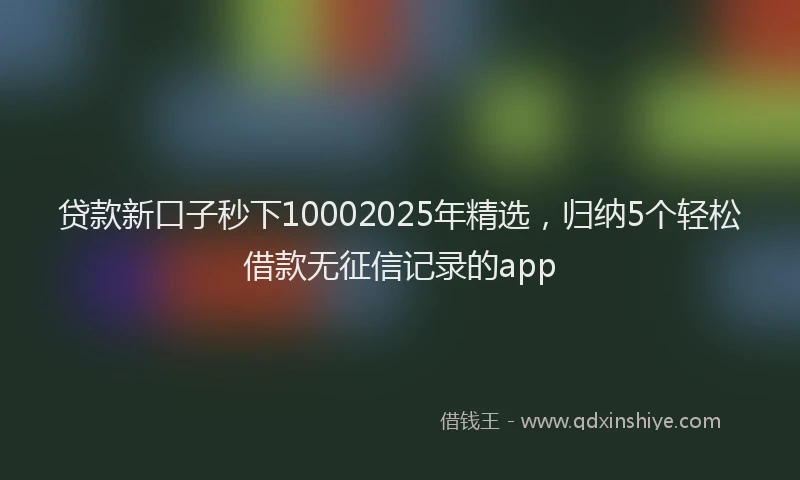 贷款新口子秒下10002025年精选，归纳5个轻松借款无征信记录的app