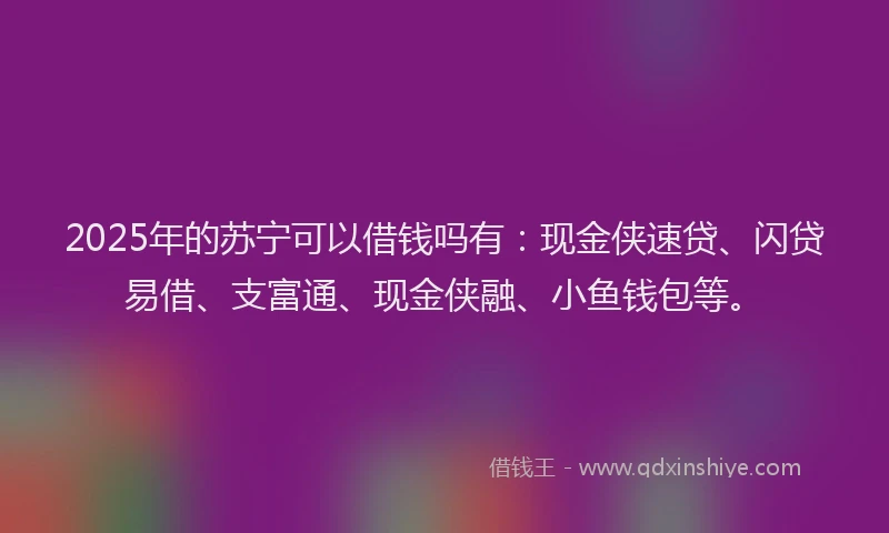 2025年的苏宁可以借钱吗有：现金侠速贷、闪贷易借、支富通、现金侠融、小鱼钱包等。