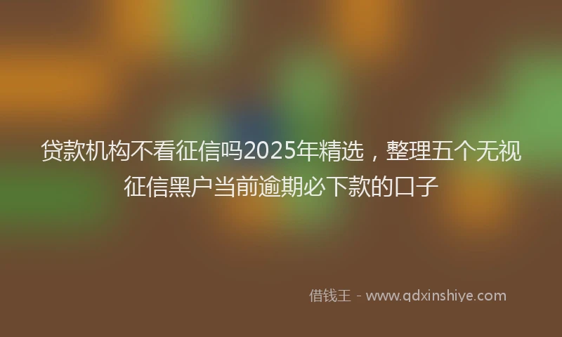 贷款机构不看征信吗2025年精选，整理五个无视征信黑户当前逾期必下款的口子
