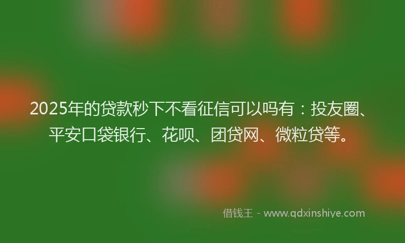 2025年的贷款秒下不看征信可以吗有：投友圈、平安口袋银行、花呗、团贷网、微粒贷等。