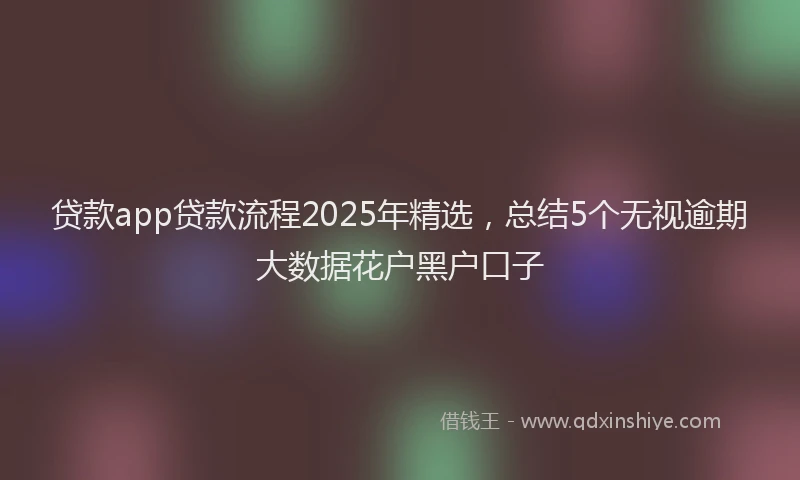 贷款app贷款流程2025年精选，总结5个无视逾期大数据花户黑户口子