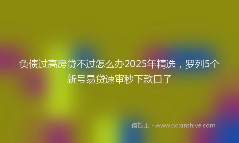 负债过高房贷不过怎么办2025年精选，罗列5个新号易贷速审秒下款口子