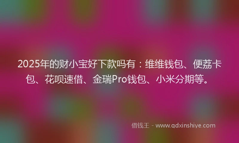 2025年的财小宝好下款吗有：维维钱包、便荔卡包、花呗速借、金瑞Pro钱包、小米分期等。