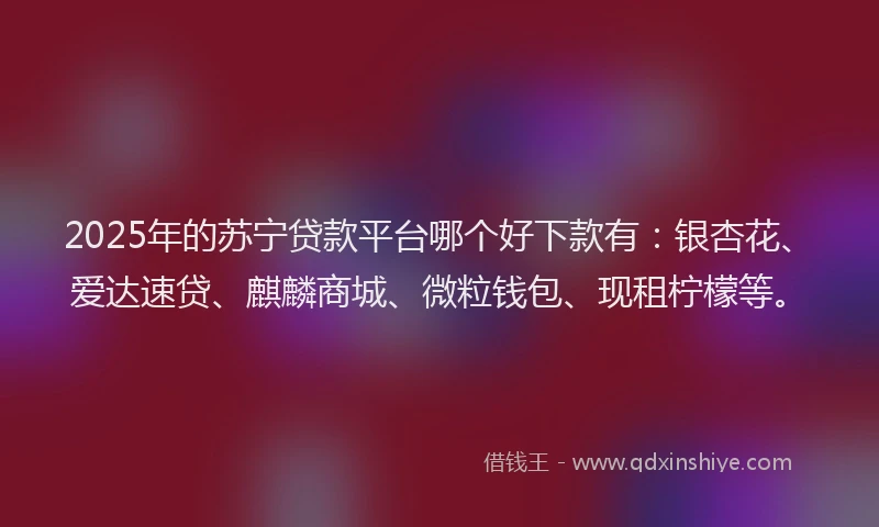 2025年的苏宁贷款平台哪个好下款有：银杏花、爱达速贷、麒麟商城、微粒钱包、现租柠檬等。