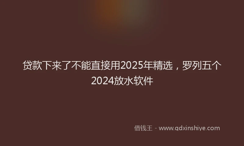 贷款下来了不能直接用2025年精选，罗列五个2024放水软件