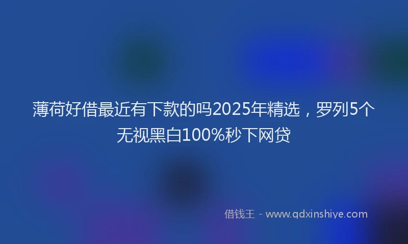 薄荷好借最近有下款的吗2025年精选，罗列5个无视黑白100%秒下网贷