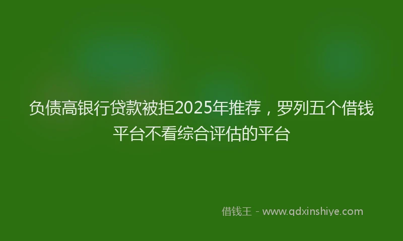 负债高银行贷款被拒2025年推荐，罗列五个借钱平台不看综合评估的平台