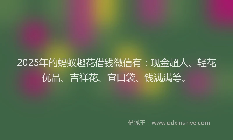 2025年的蚂蚁趣花借钱微信有：现金超人、轻花优品、吉祥花、宜口袋、钱满满等。