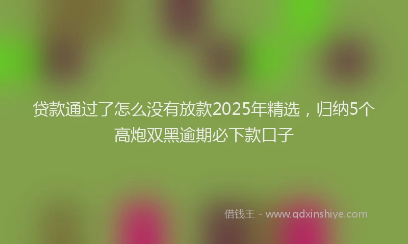 贷款通过了怎么没有放款2025年精选，归纳5个高炮双黑逾期必下款口子