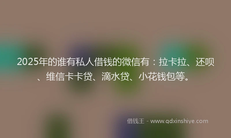 2025年的谁有私人借钱的微信有：拉卡拉、还呗、维信卡卡贷、滴水贷、小花钱包等。