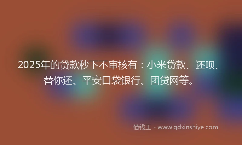 2025年的贷款秒下不审核有：小米贷款、还呗、替你还、平安口袋银行、团贷网等。