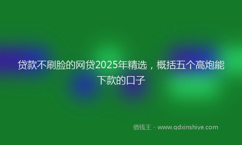贷款不刷脸的网贷2025年精选，概括五个高炮能下款的口子