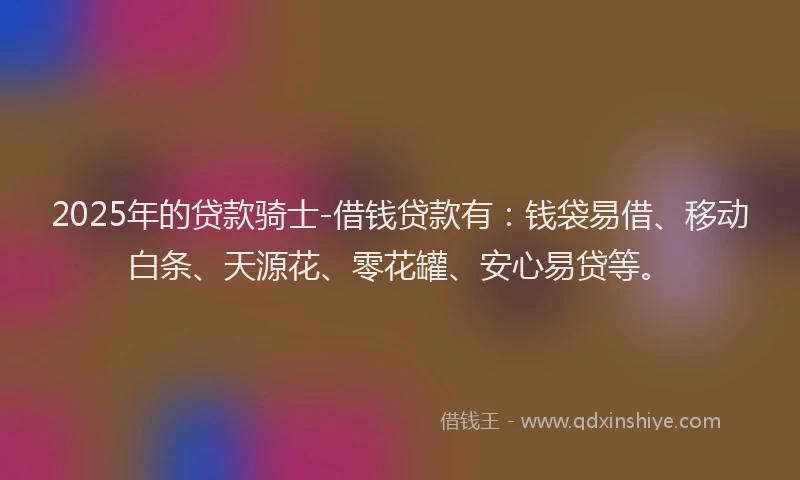 2025年的贷款骑士-借钱贷款有：钱袋易借、移动白条、天源花、零花罐、安心易贷等。