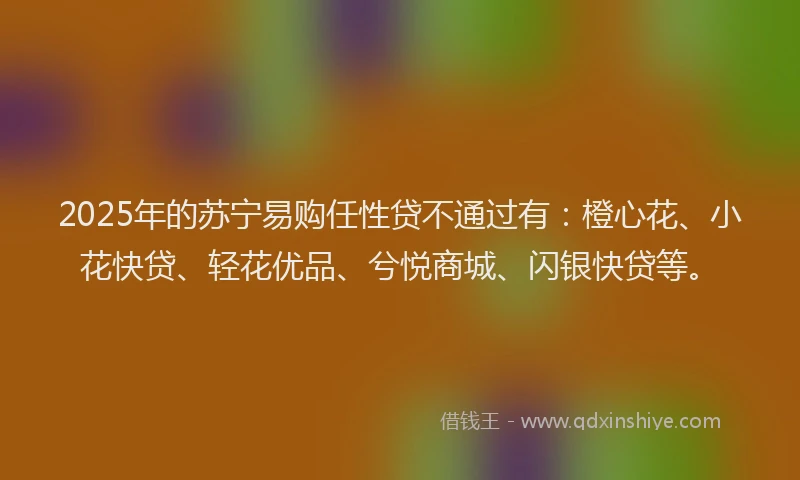 2025年的苏宁易购任性贷不通过有：橙心花、小花快贷、轻花优品、兮悦商城、闪银快贷等。