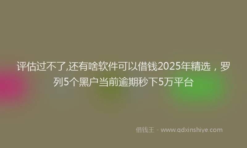 评估过不了,还有啥软件可以借钱2025年精选，罗列5个黑户当前逾期秒下5万平台