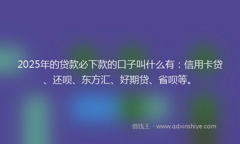 2025年的贷款必下款的口子叫什么有：信用卡贷、还呗、东方汇、好期贷、省呗等。
