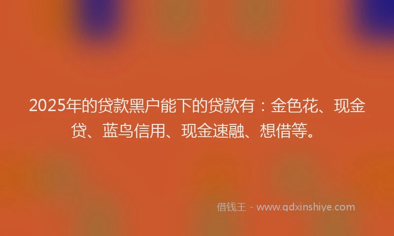 2025年的贷款黑户能下的贷款有：金色花、现金贷、蓝鸟信用、现金速融、想借等。