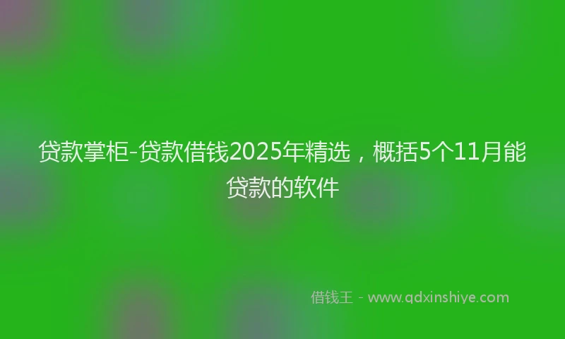 贷款掌柜-贷款借钱2025年精选，概括5个11月能贷款的软件