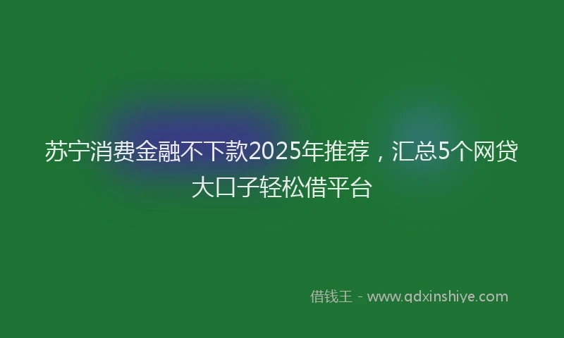 苏宁消费金融不下款2025年推荐，汇总5个网贷大口子轻松借平台