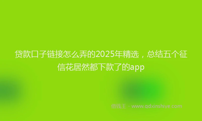 贷款口子链接怎么弄的2025年精选，总结五个征信花居然都下款了的app