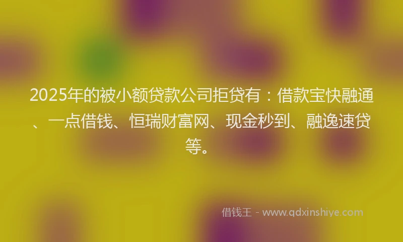 2025年的被小额贷款公司拒贷有：借款宝快融通、一点借钱、恒瑞财富网、现金秒到、融逸速贷等。