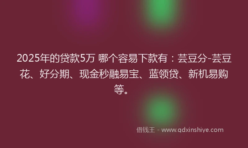 2025年的贷款5万 哪个容易下款有：芸豆分-芸豆花、好分期、现金秒融易宝、蓝领贷、新机易购等。