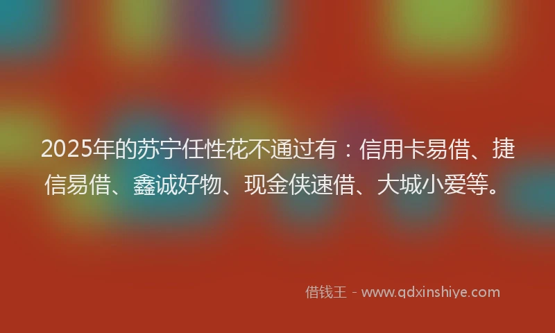 2025年的苏宁任性花不通过有：信用卡易借、捷信易借、鑫诚好物、现金侠速借、大城小爱等。