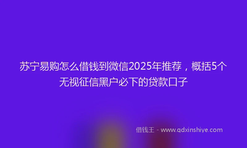 苏宁易购怎么借钱到微信2025年推荐，概括5个无视征信黑户必下的贷款口子