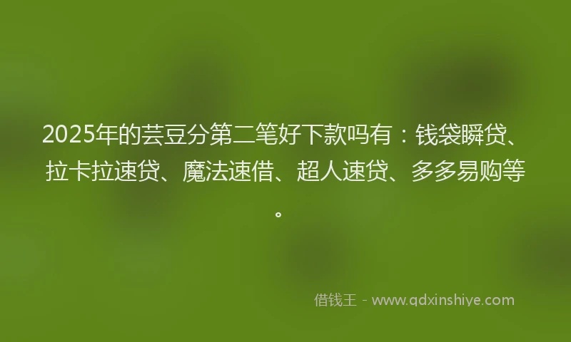 2025年的芸豆分第二笔好下款吗有：钱袋瞬贷、拉卡拉速贷、魔法速借、超人速贷、多多易购等。