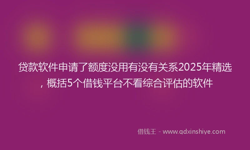 贷款软件申请了额度没用有没有关系2025年精选，概括5个借钱平台不看综合评估的软件