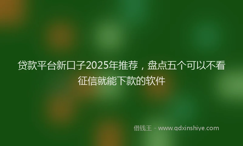 贷款平台新口子2025年推荐，盘点五个可以不看征信就能下款的软件