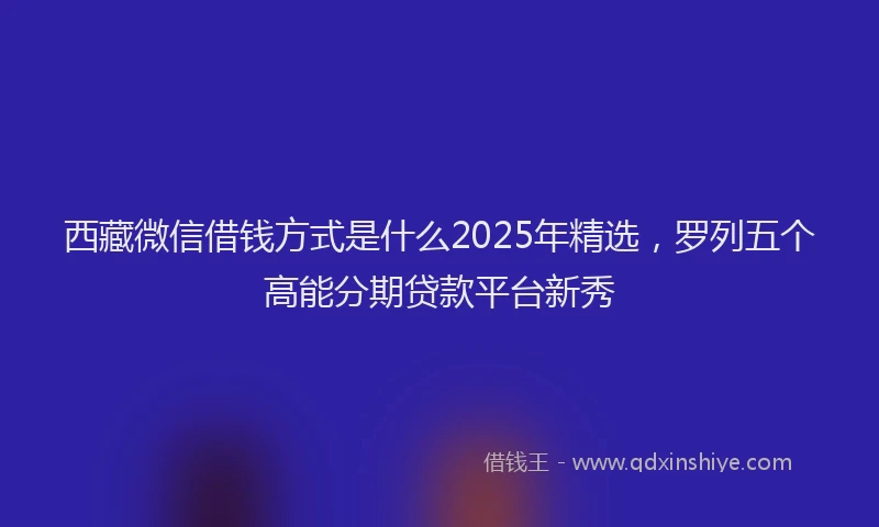 西藏微信借钱方式是什么2025年精选，罗列五个高能分期贷款平台新秀