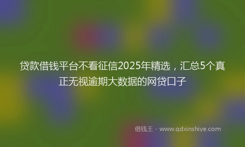 贷款借钱平台不看征信2025年精选，汇总5个真正无视逾期大数据的网贷口子