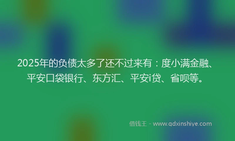 2025年的负债太多了还不过来有：度小满金融、平安口袋银行、东方汇、平安i贷、省呗等。