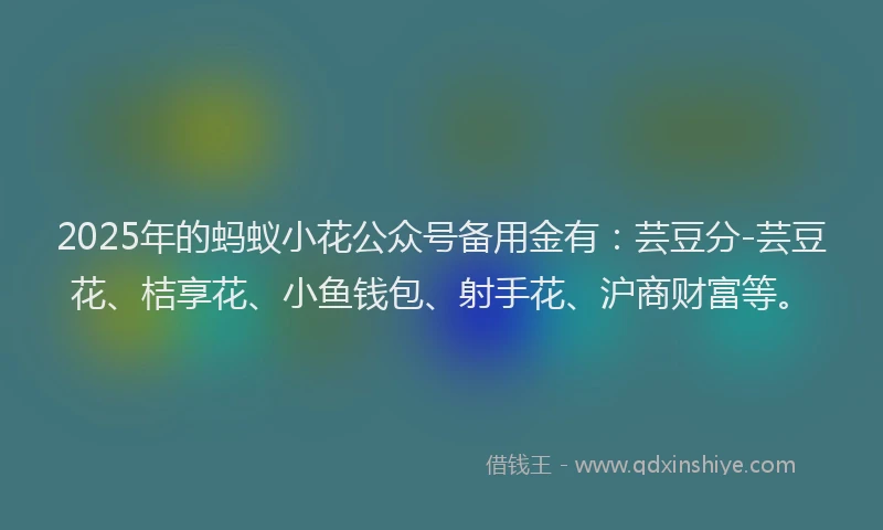 2025年的蚂蚁小花公众号备用金有：芸豆分-芸豆花、桔享花、小鱼钱包、射手花、沪商财富等。