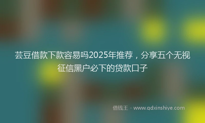 芸豆借款下款容易吗2025年推荐，分享五个无视征信黑户必下的贷款口子