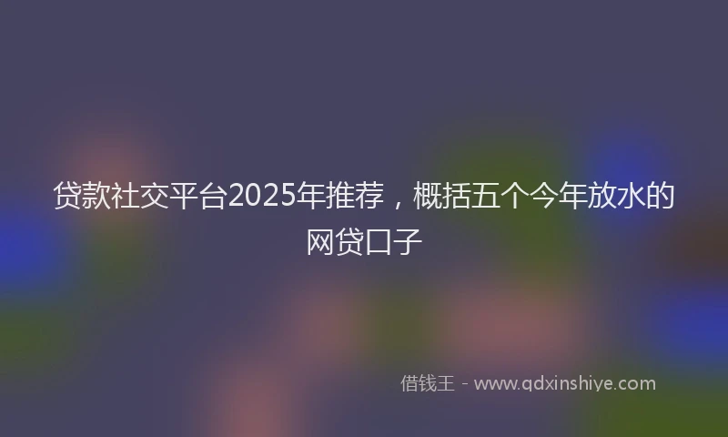 贷款社交平台2025年推荐，概括五个今年放水的网贷口子